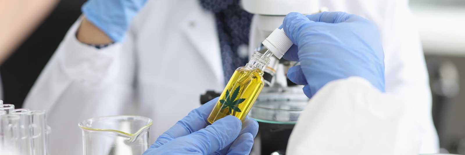 beneficios-cbd Los beneficios del CBD